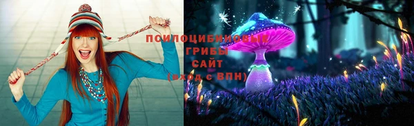 спайс Арсеньев