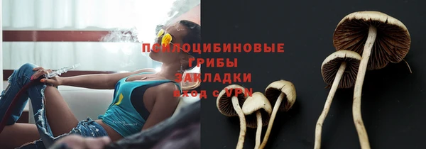 кокс Аркадак