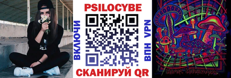 Галлюциногенные грибы Cubensis  купить   Сольвычегодск 